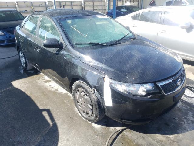 KIA FORTE LX 2011 knaft4a25b5370209