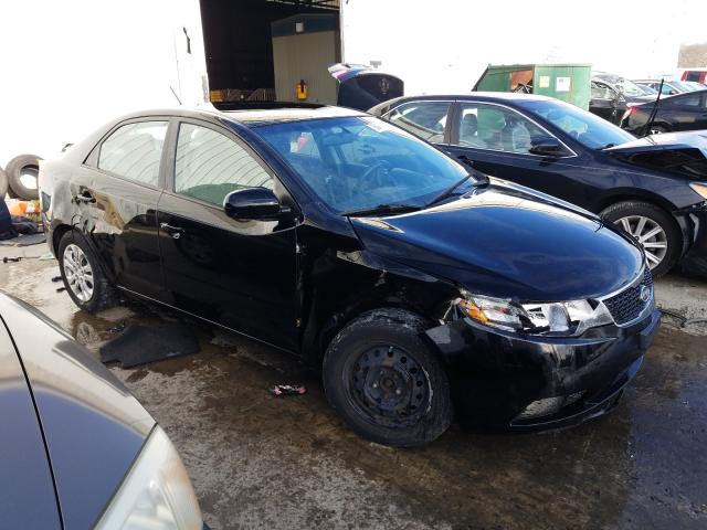 KIA FORTE LX 2011 knaft4a25b5429596