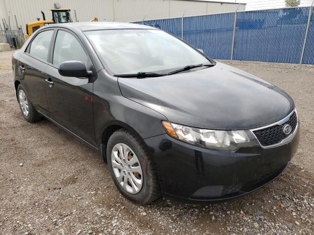 KIA FORTE LX 2013 knaft4a25d5704371