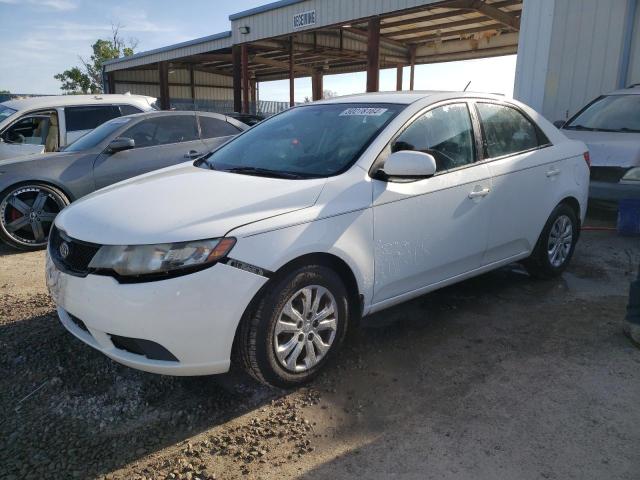 KIA FORTE 2010 knaft4a26a5049052