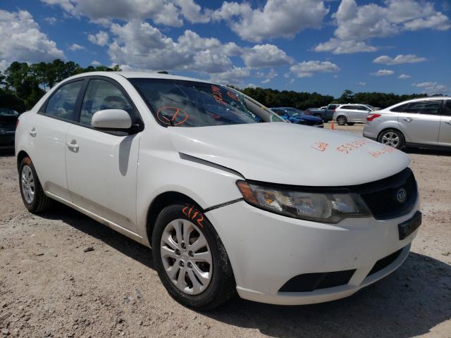 KIA FORTE LX 2010 knaft4a26a5059984