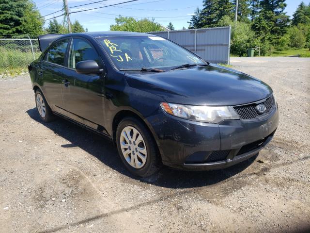 KIA FORTE LX 2010 knaft4a26a5257674