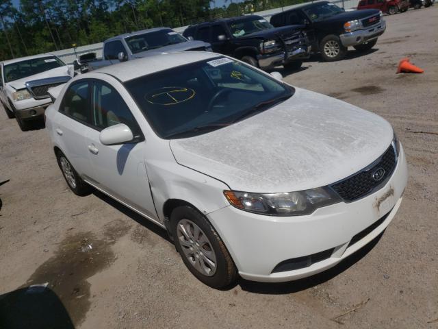 KIA FORTE LX 2011 knaft4a26b5343049