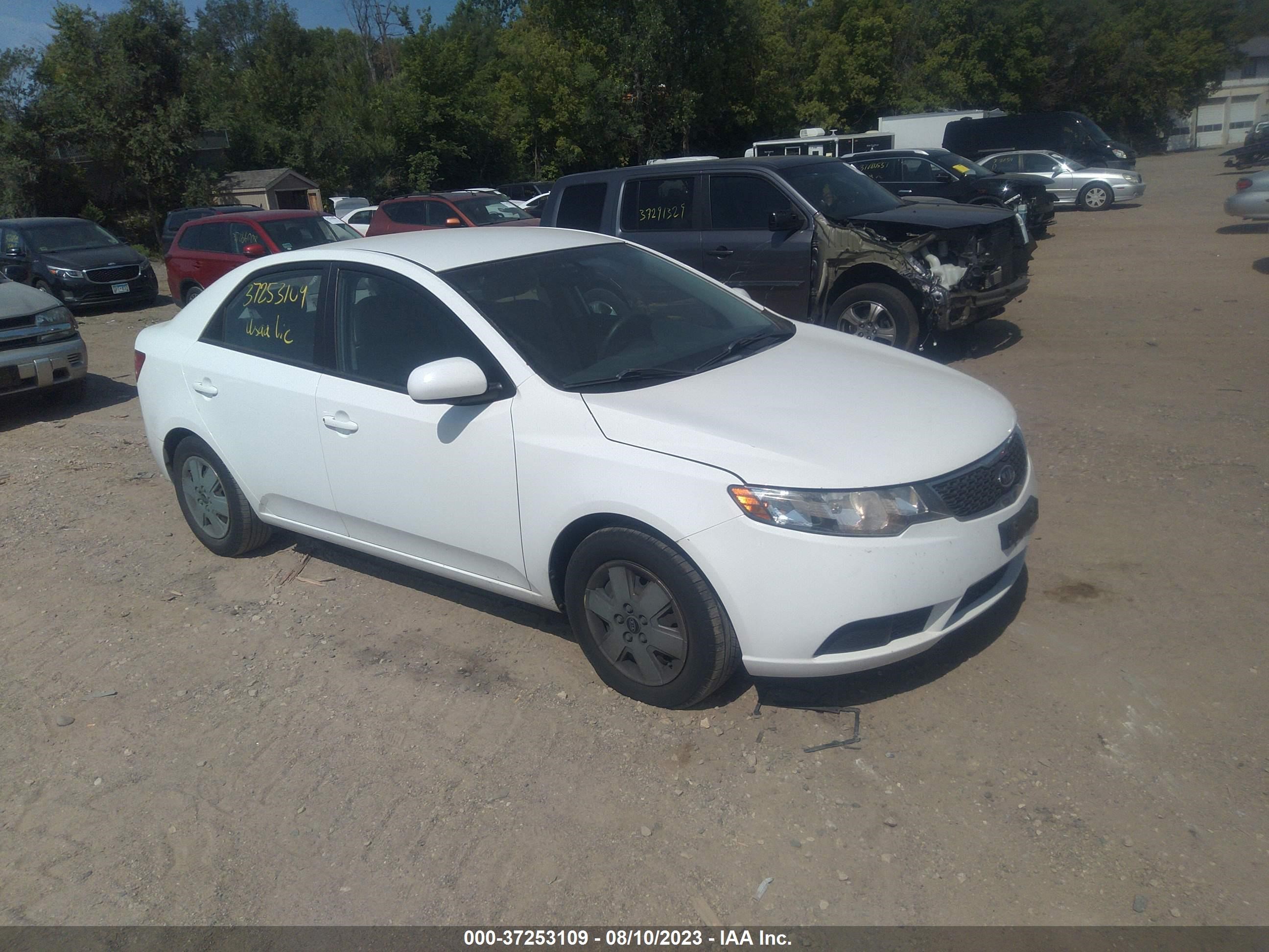 KIA FORTE 2012 knaft4a26c5574034