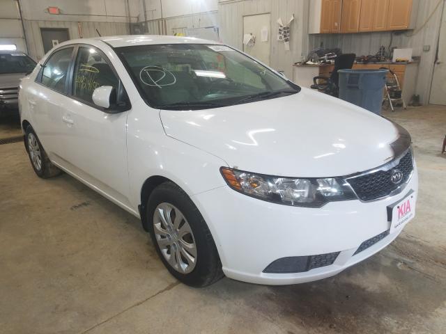 KIA FORTE LX 2013 knaft4a26d5655567