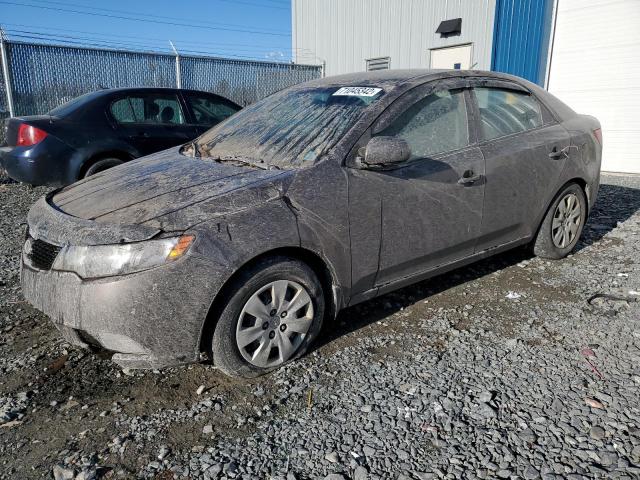 KIA FORTE LX 2013 knaft4a26d5659117