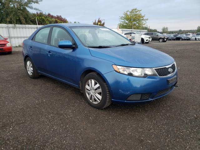 KIA FORTE LX 2013 knaft4a26d5726119