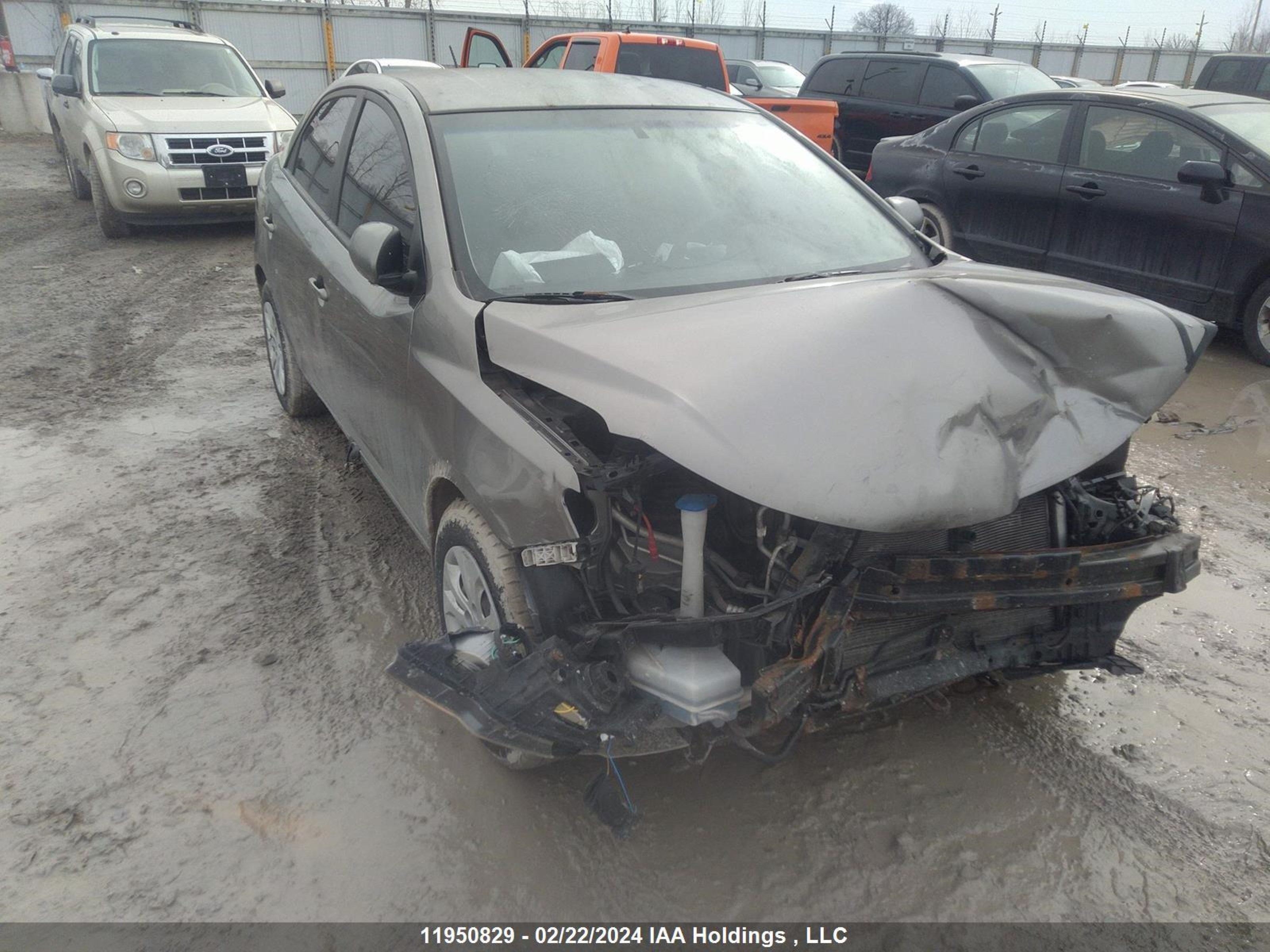 KIA FORTE 2010 knaft4a27a5069651