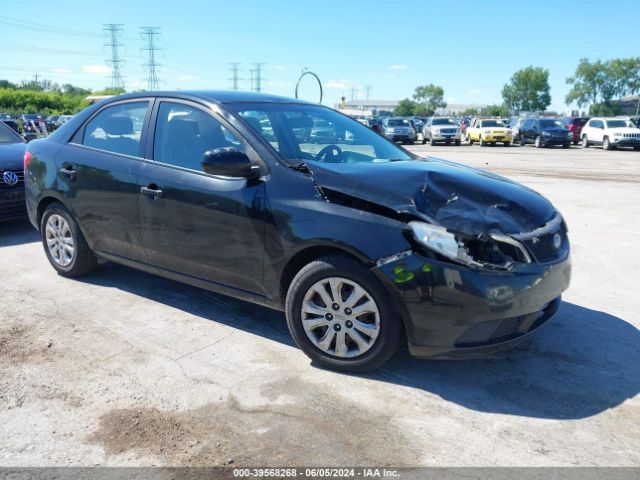 KIA FORTE 2010 knaft4a27a5093349