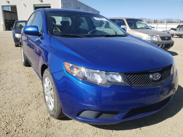 KIA FORTE LX 2010 knaft4a27a5142498