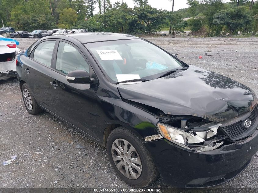 KIA FORTE 2010 knaft4a27a5304209