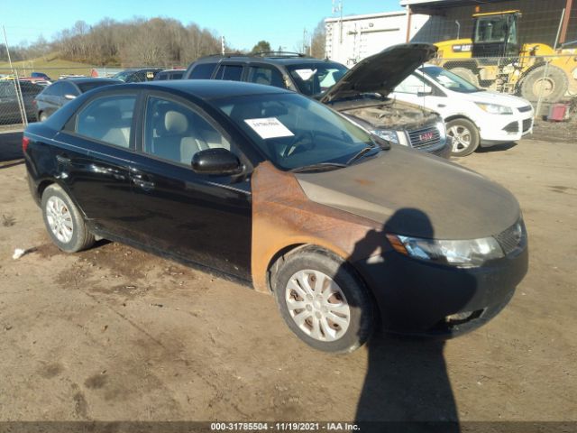 KIA FORTE 2010 knaft4a27a5820649