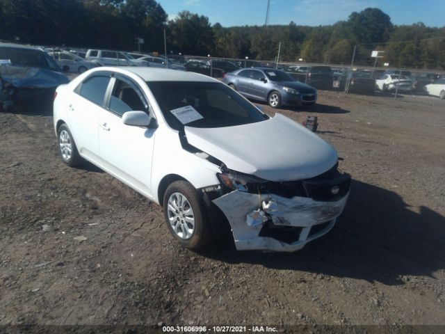 KIA FORTE 2010 knaft4a27a5846099