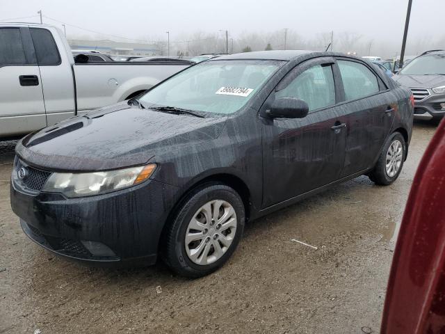 KIA FORTE 2010 knaft4a27a5875215