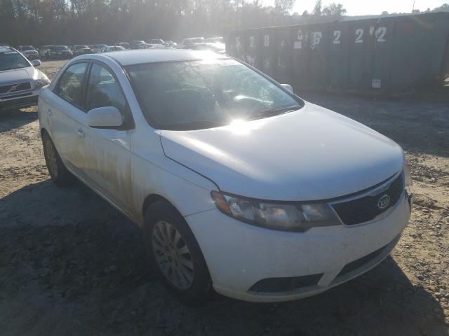 KIA FORTE 2013 knaft4a27c5486948