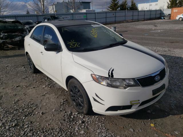 KIA FORTE LX 2012 knaft4a27c5532682