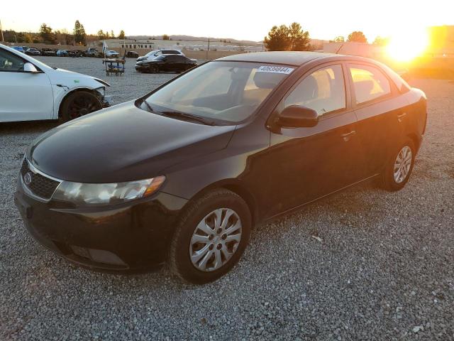 KIA FORTE 2012 knaft4a27c5620843