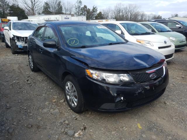 KIA FORTE LX 2013 knaft4a27d5662818