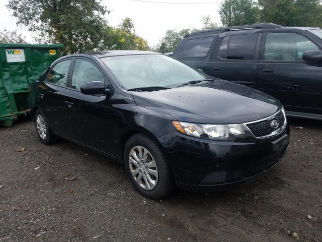 KIA FORTE LX 2013 knaft4a27d5718854