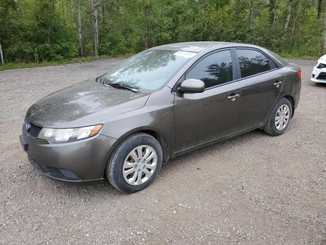 KIA FORTE LX 2010 knaft4a28a5069559