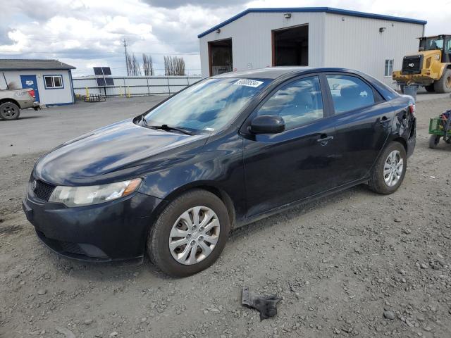 KIA FORTE 2010 knaft4a28a5071182