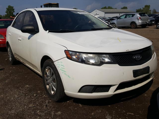 KIA FORTE LX 2010 knaft4a28a5092016