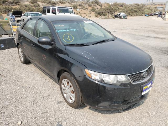 KIA FORTE LX 2010 knaft4a28a5254341