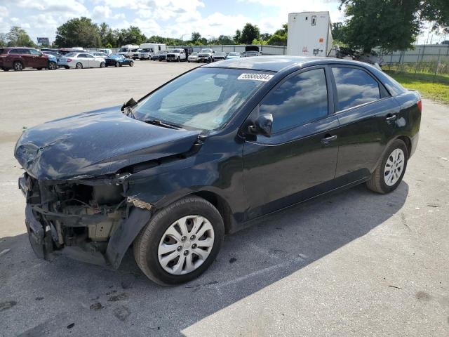 KIA FORTE 2010 knaft4a28a5261550