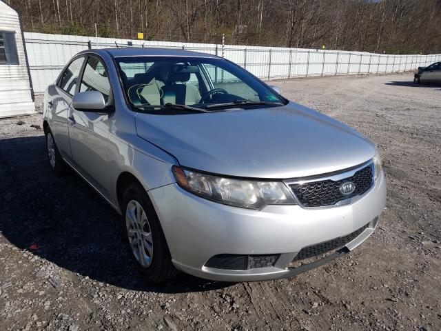 KIA FORTE 2010 knaft4a28a5826184