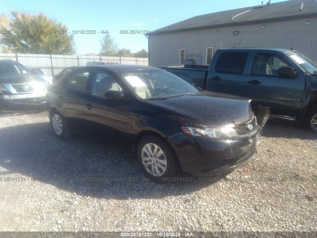 KIA FORTE 2010 knaft4a28a5826816