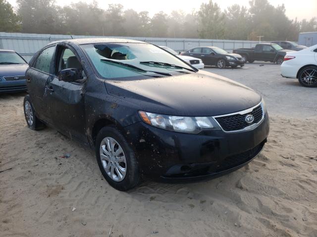 KIA FORTE LX 2011 knaft4a28b5443217