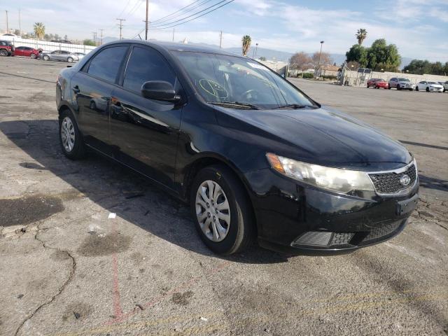 KIA FORTE LX 2012 knaft4a28c5559583