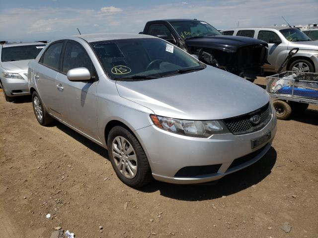 KIA FORTE LX 2010 knaft4a29a5055931