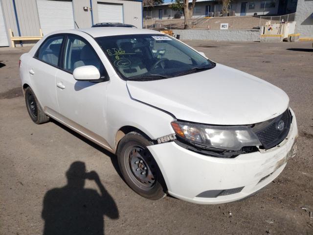 KIA FORTE LX 2010 knaft4a29a5056402