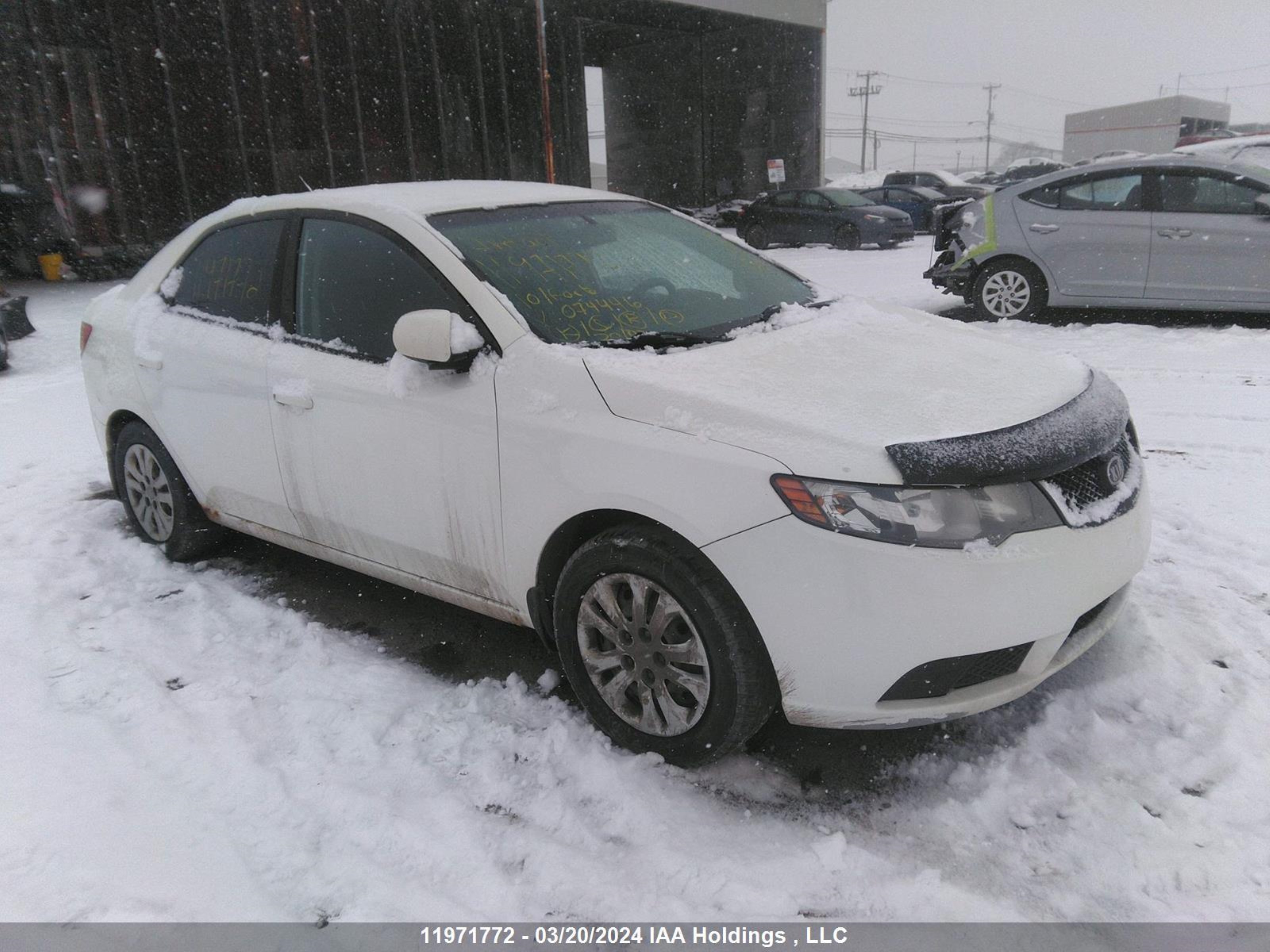 KIA FORTE 2010 knaft4a29a5074446