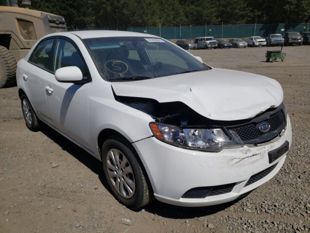 KIA FORTE LX 2010 knaft4a29a5086709