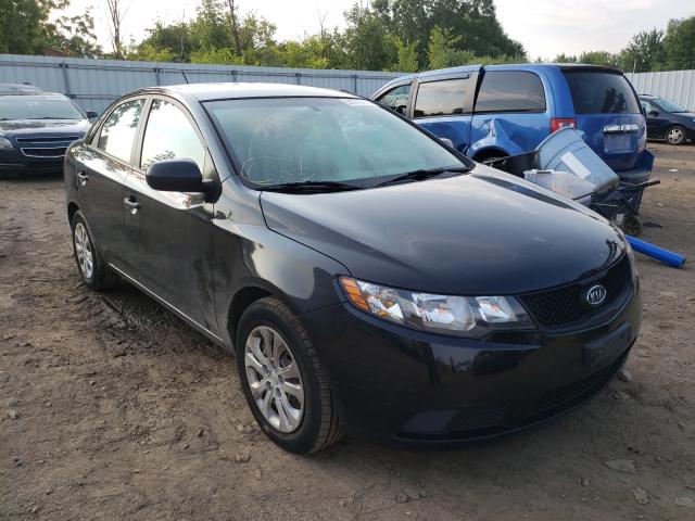 KIA FORTE LX 2010 knaft4a29a5093336