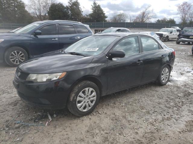 KIA FORTE LX 2010 knaft4a29a5108448