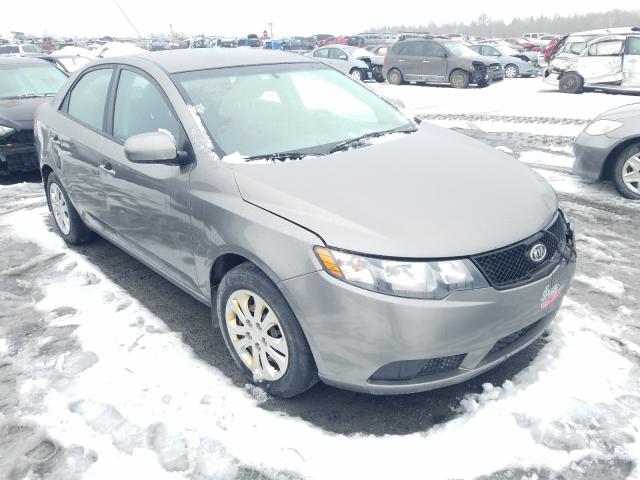 KIA FORTE 2010 knaft4a29a5228783