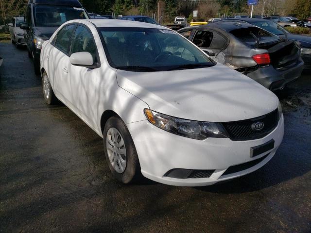 KIA FORTE 2010 knaft4a29a5289888