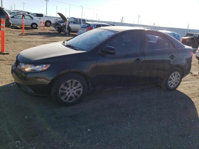 KIA FORTE 2010 knaft4a29a5856343