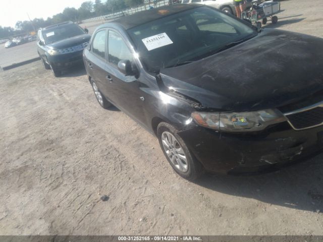 KIA FORTE 2011 knaft4a29b5417810