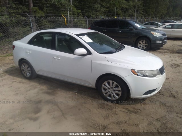 KIA FORTE 2011 knaft4a29b5435854