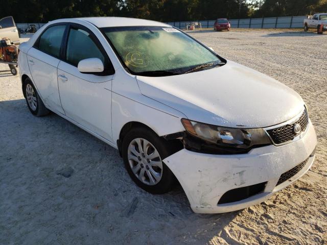 KIA FORTE 2012 knaft4a29c5533350