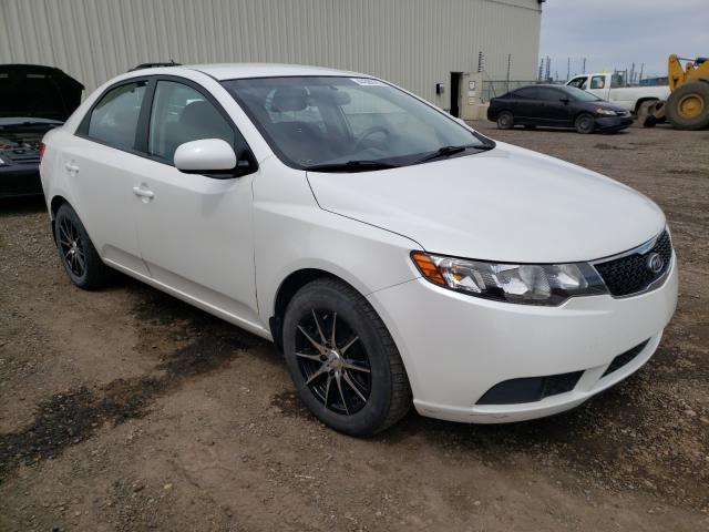 KIA FORTE LX 2012 knaft4a29c5578644