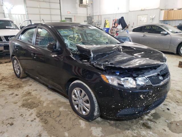 KIA FORTE LX 2013 knaft4a29d5683508