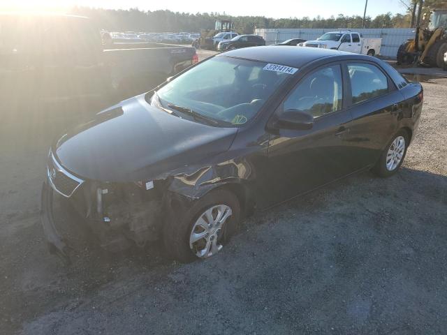 KIA FORTE 2013 knaft4a29d5705992