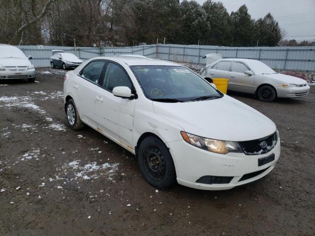 KIA FORTE LX 2010 knaft4a2xa5094575