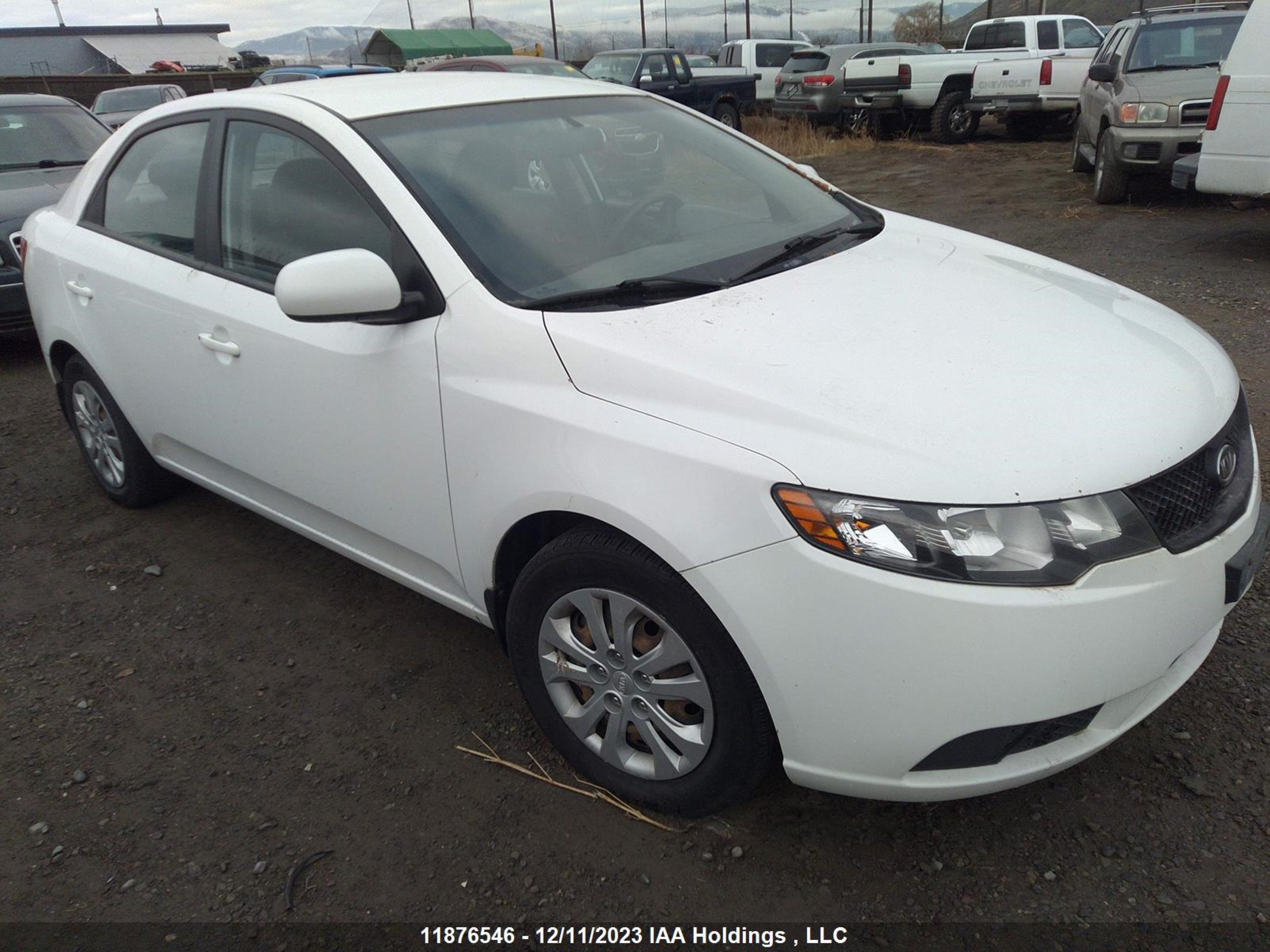 KIA FORTE 2010 knaft4a2xa5246631