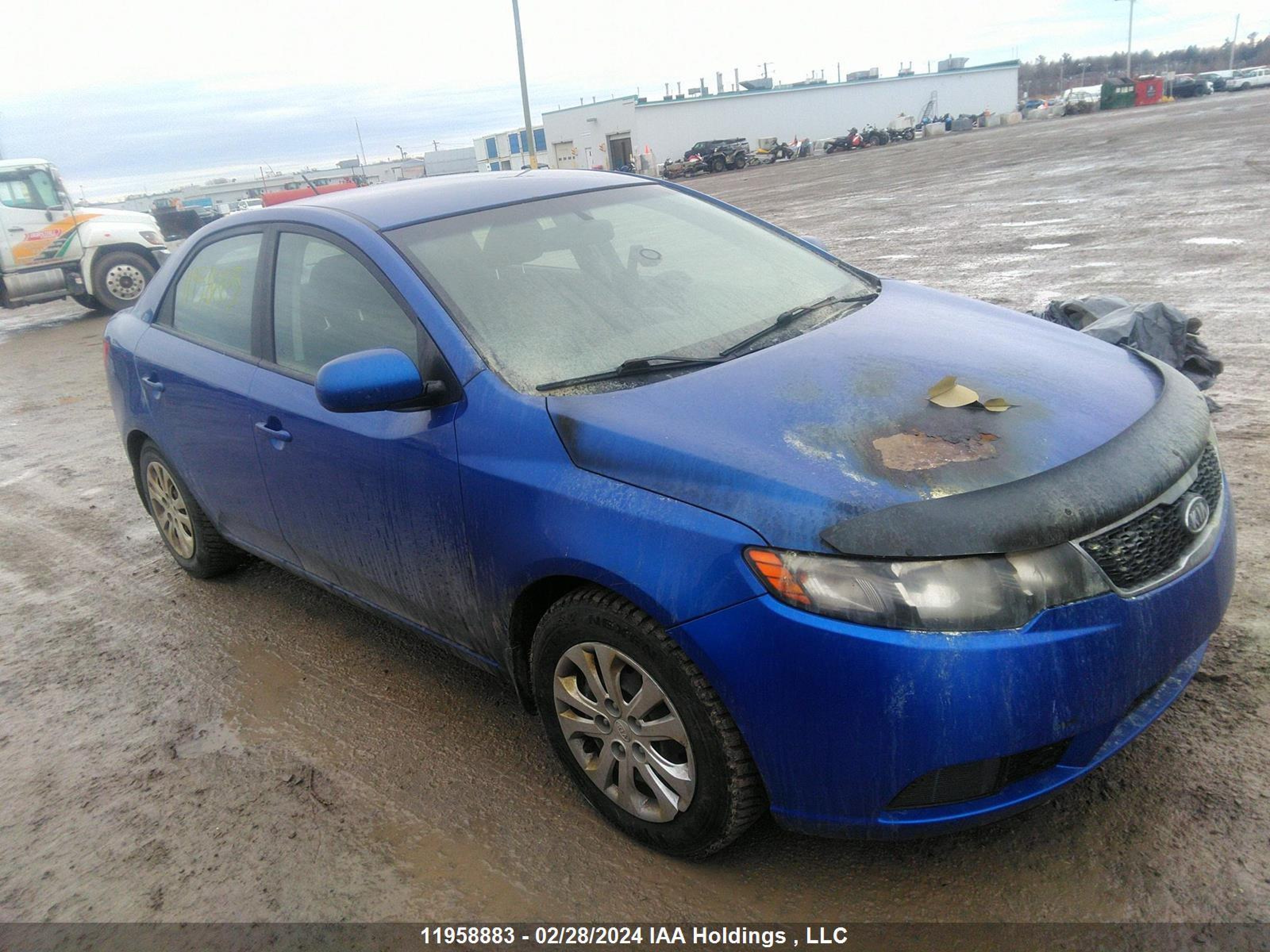 KIA FORTE 2012 knaft4a2xc5617080